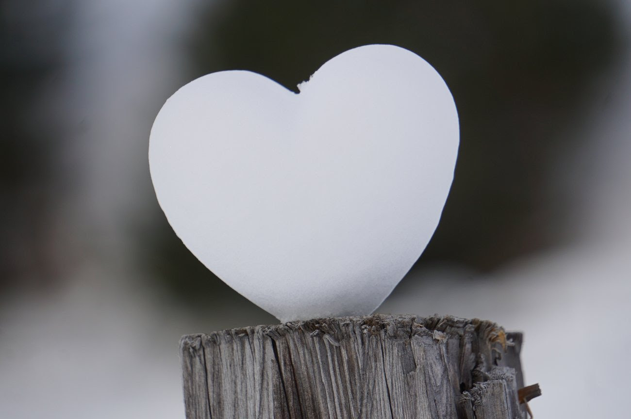 Emotionen und Gefühle – was brodelt da in dir?