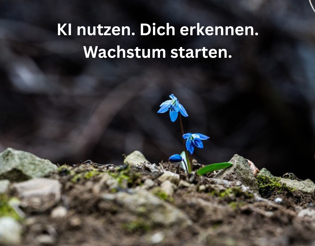 Loslassen – es ist Zeit für dein Wachstum